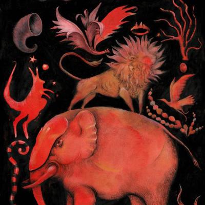 Histoire D Animaux